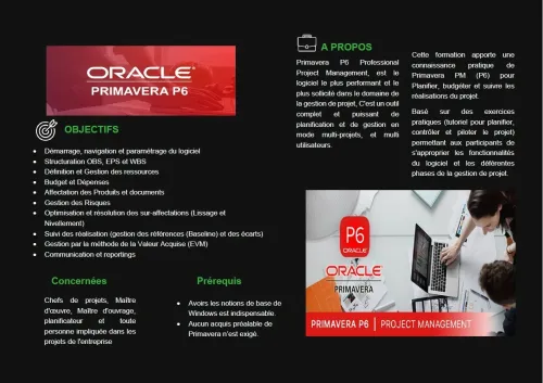 Gestion Projet avec Primavera PM6
