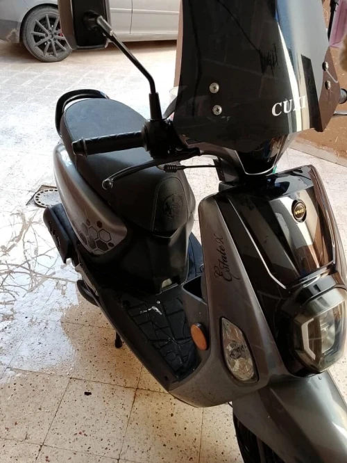 Cuxi Cuxi 2 2025