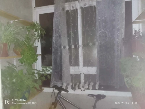 Vente Appartement F3 Chlef Ain merane