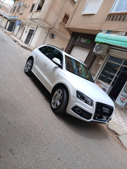 Audi Q5 2011 S Line Pack Tech
