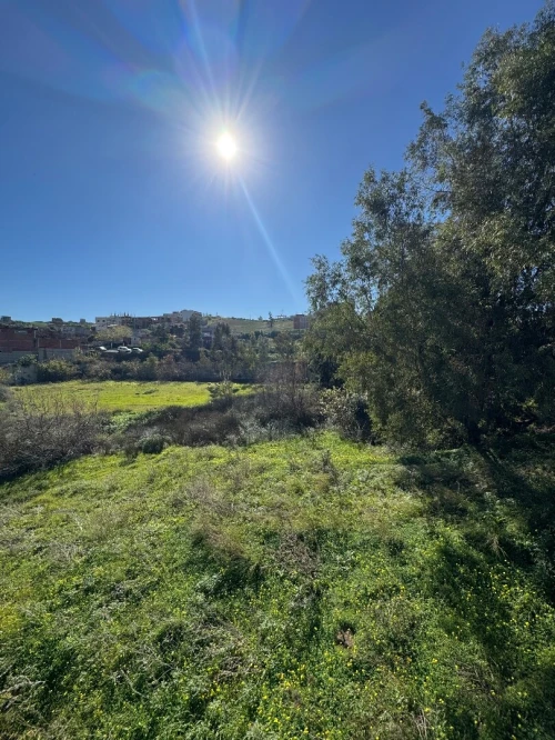Vente Terrain Boumerdès Ouled moussa