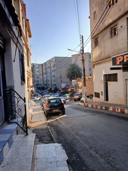 Location Local Alger Said hamdine