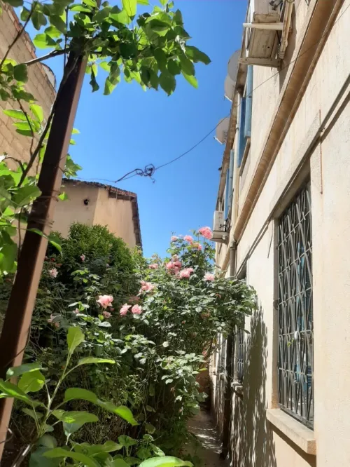 Vente Villa Constantine Constantine