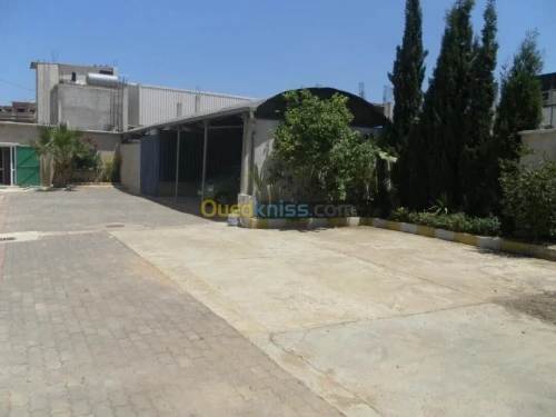 Location Alger Birtouta