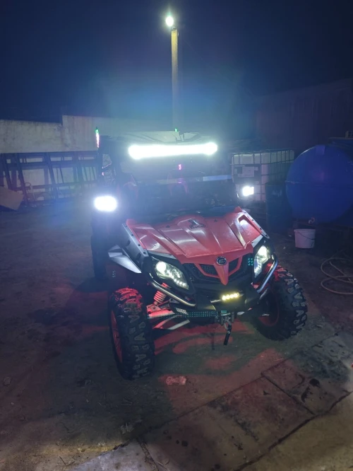 Buggy Cf 2017