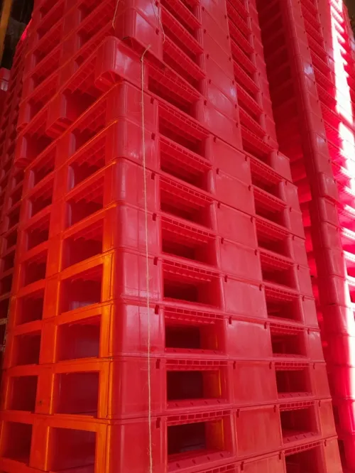 Palette en plastique