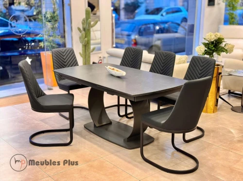 TABLE EXTENSIBLE AVEC 8 CHAISES