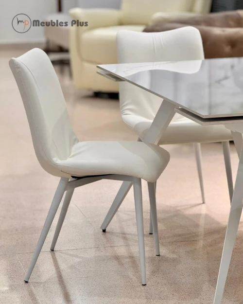 TABLE EXTENSIBLE AVEC 6 CHAISES