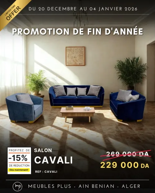PROMO FIN D'ANNEE SALON