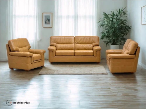 SALON 6 PLACES EN CUIR PISA