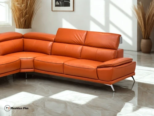 SALON L CUIR