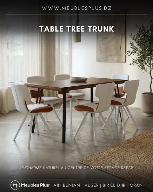 TABLE DE CUISINE 6 CHAISES