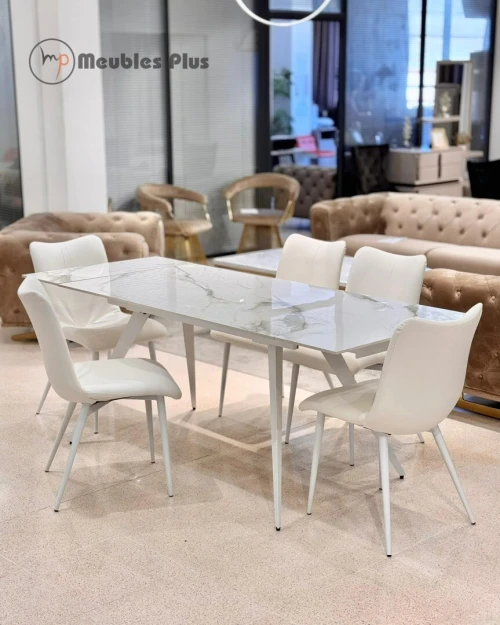 TABLE EXTENSIBLE AVEC 6 CHAISES