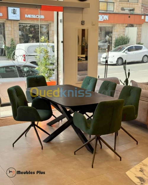 TABLE EXTENSIBLE avec 8 chaises