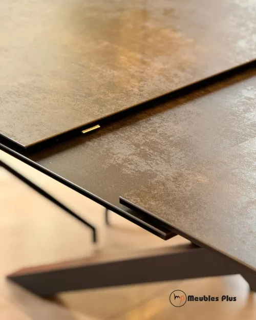 TABLE EXTENSIBLE avec 8 chaises