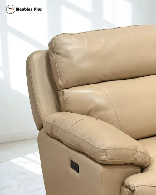 SALON L RELAX ELECTRIQUE EN CUIR