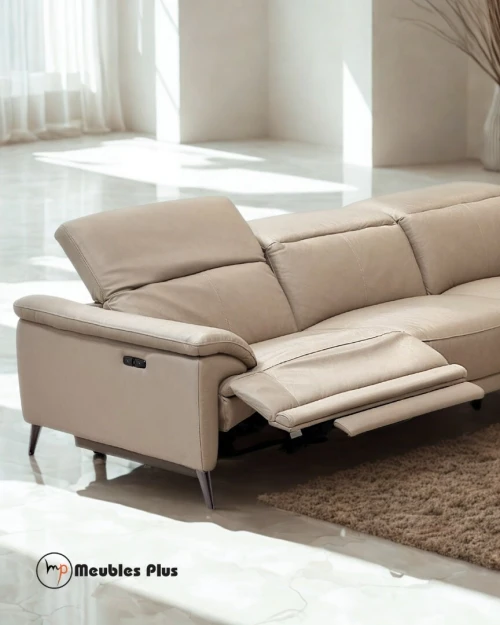 SALON RELAX L FACADE EN CUIR