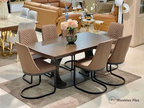 TABLE EXTENSIBLE AVEC 8 CHAISES