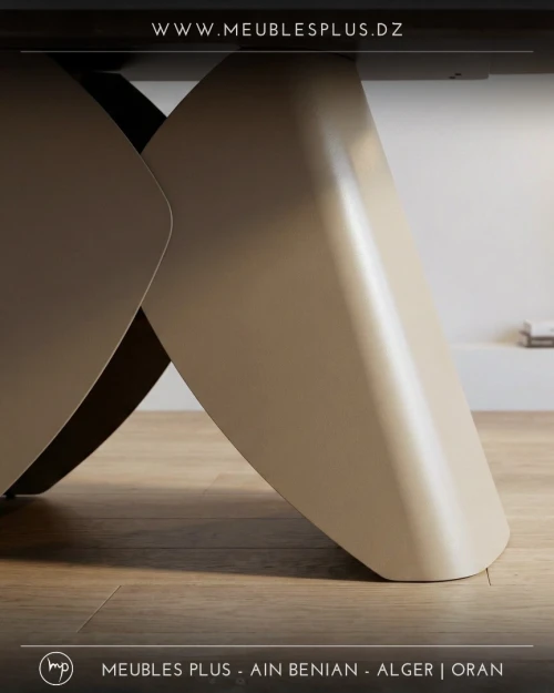 TABLE DE SALLE A MANGER 8 CHAISES