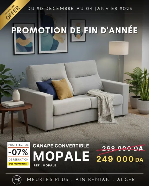 PROMO FIN D'ANNEE SALON