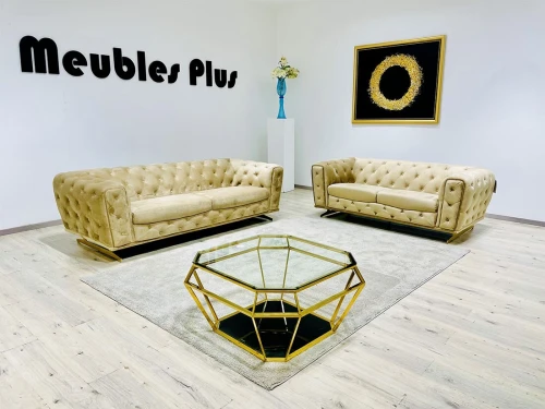 SALON CAPITONNÉ DE 6 PLACES EN VELOURS