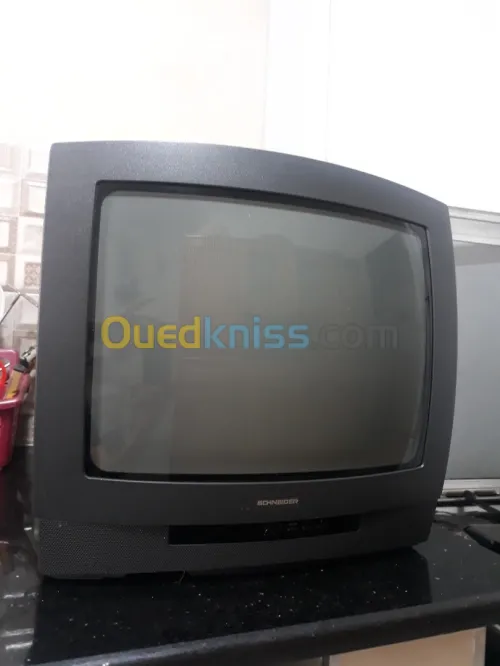 Televiseur schneider en  couleur 