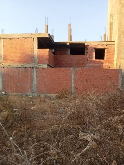 Vente bien immobilier Blida Chiffa