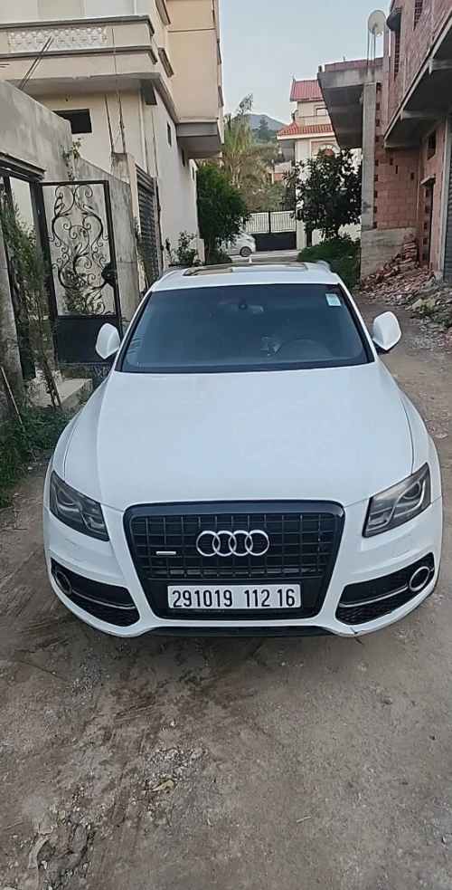 Audi Q5 2012 Off Road