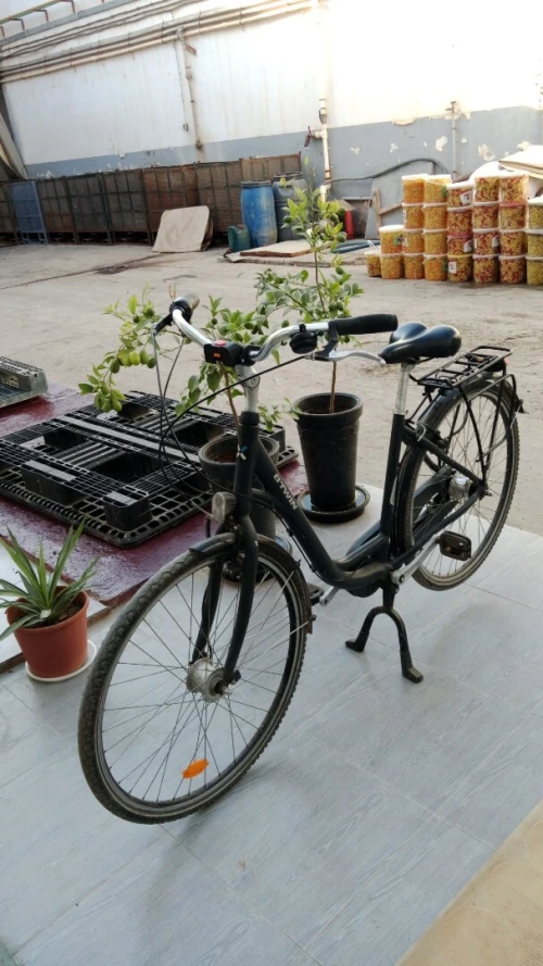 Vend Elops 920 btwin