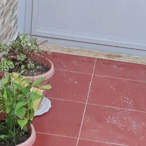 Vente Villa Guelma Oued zenati