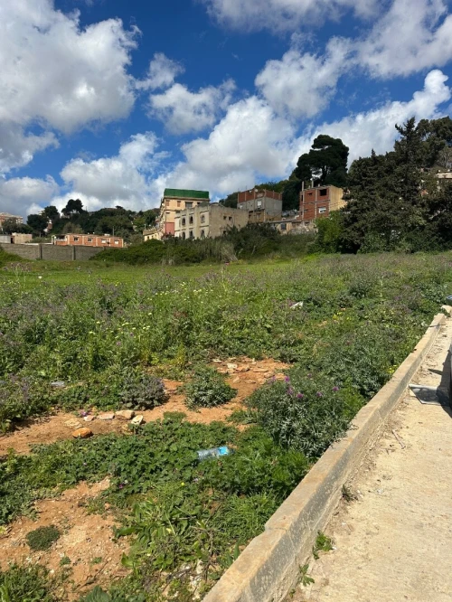 Vente Terrain Alger Birkhadem