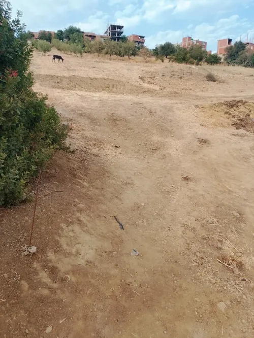 Vente Terrain Bouira Kadiria