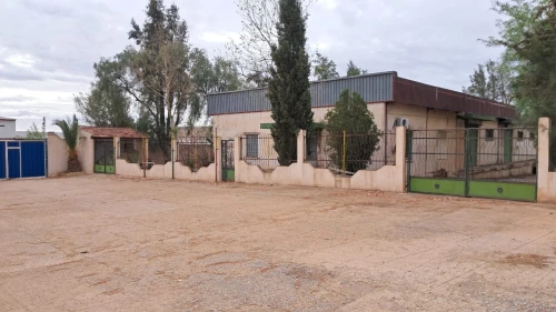 Vente Terrain Agricole Tiaret Tiaret