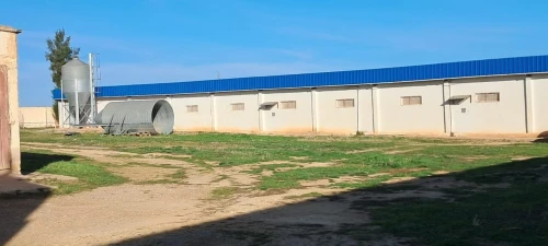 Vente Terrain Agricole Tiaret Tiaret