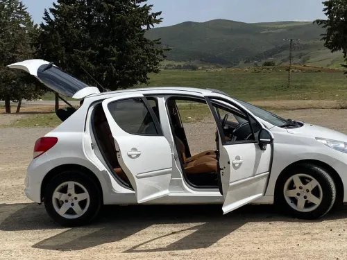 Peugeot 207 2012 