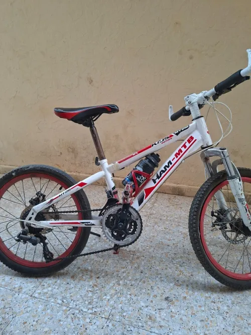 Vélo HAM-MTB MT218