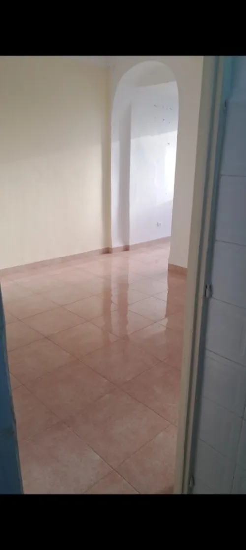 Location Appartement Studio Alger Alger centre