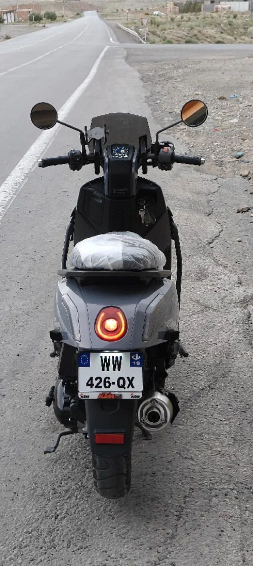 Vms Gemma 2025
