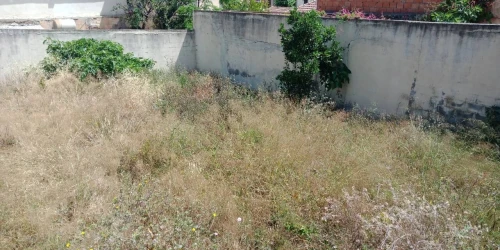 Vente Villa Tipaza Larhat