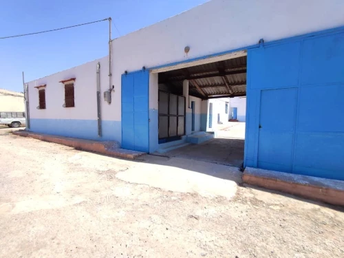 Vente bien immobilier Mostaganem Mesra