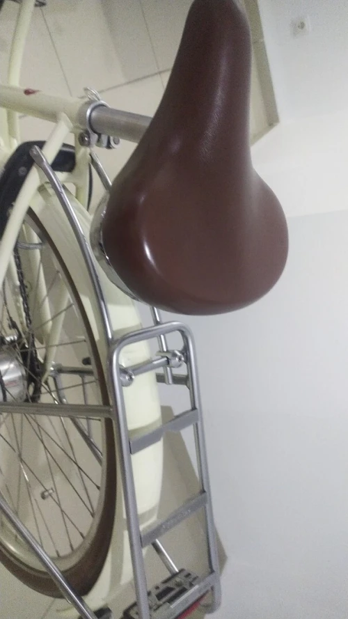 Vélo électrique Electra Go