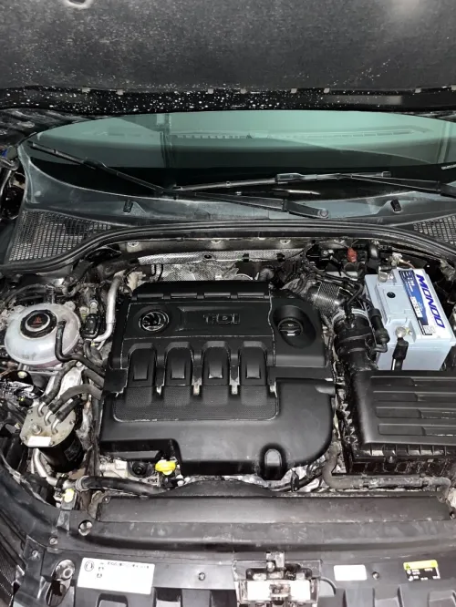 Skoda Octavia 2019 Business