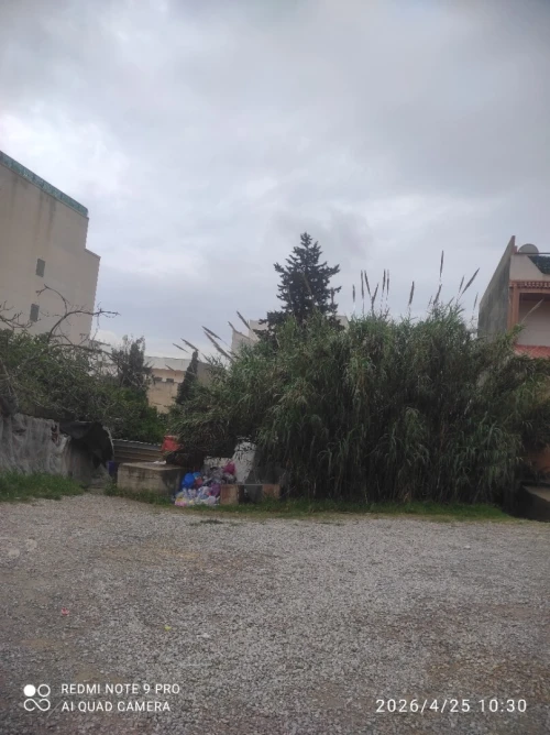 Vente Terrain Alger Dely brahim