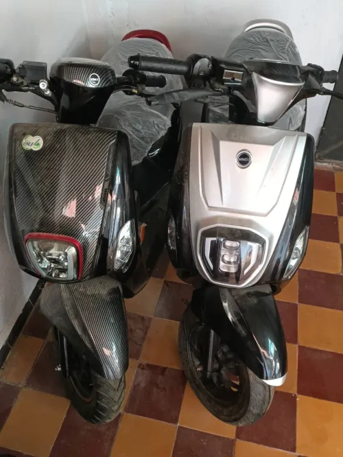 Vms Coxi2 2025