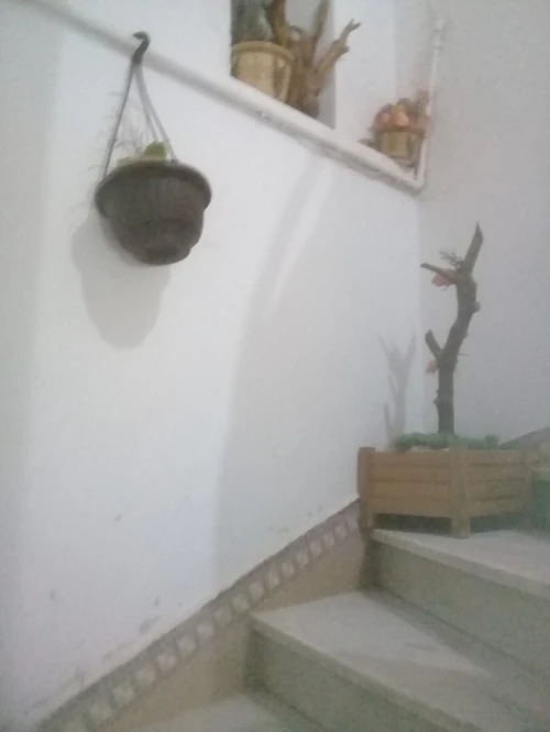 Vente Appartement F3 Batna Batna
