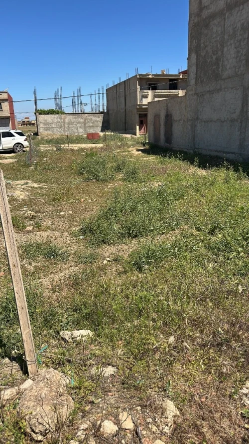 Vente Terrain Chlef Boukadir
