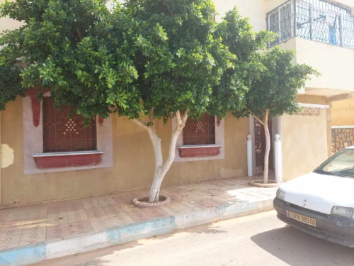 Vente Appartement F4 Chlef El marsa