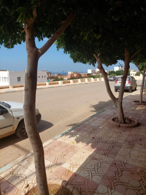 Vente Appartement F4 Chlef El marsa