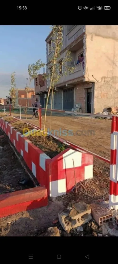 Vente Terrain Alger Tessala el merdja