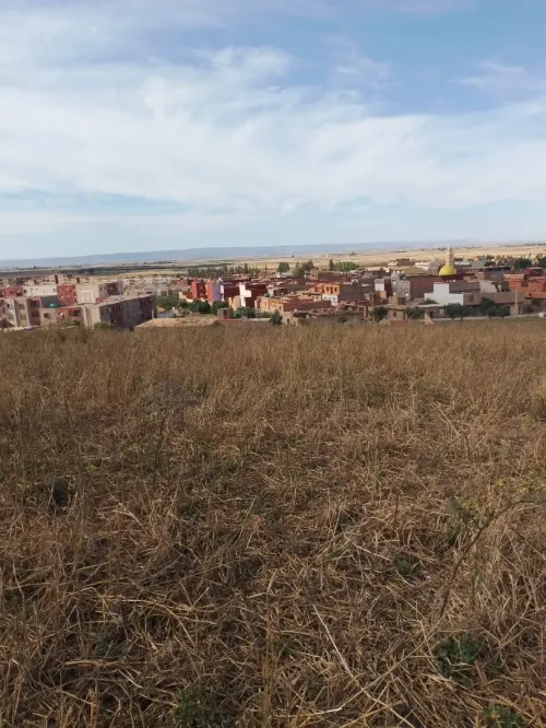 Vente Terrain Aïn Témouchent Oued sabah